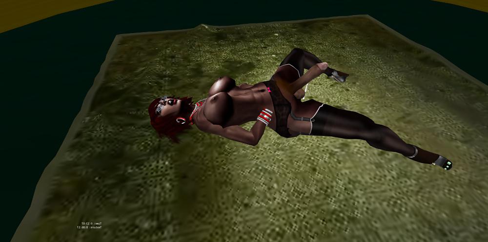25P Second Life Shemale Lesbian Cougars Feb 2014
