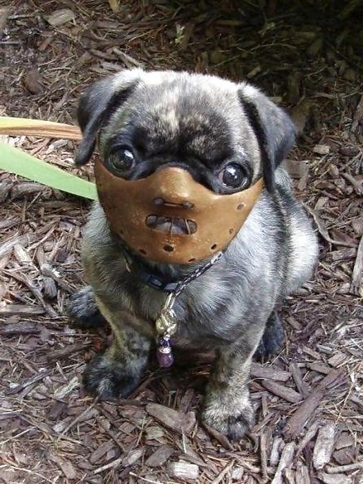 25P Things I found on the internet that are interesting.