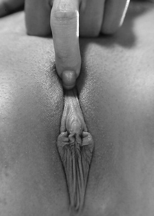 25P Purely Pussy - Quick-Nick likes