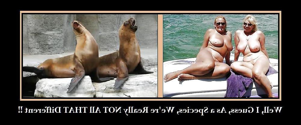 20P Funny Sexy Captioned Pictures & Posters CXXVI  112812