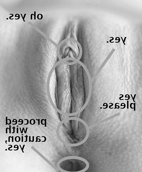 15P Fat dripping pussy