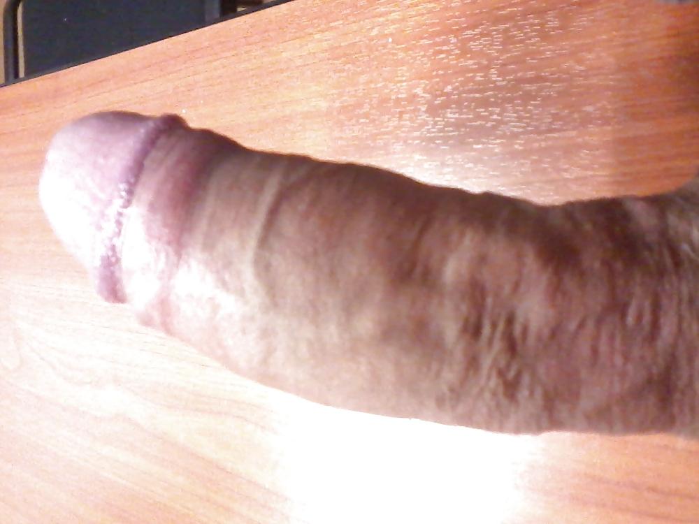9P My belgian little friend