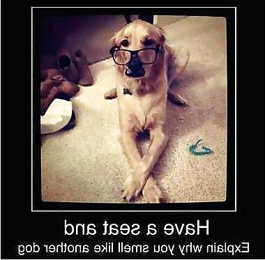18P Funny Stuff