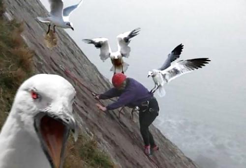 25P Submit Your Own Caption 7