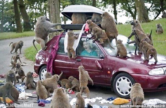 25P Submit Your Own Caption 7