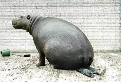 25P Submit Your Own Caption 7