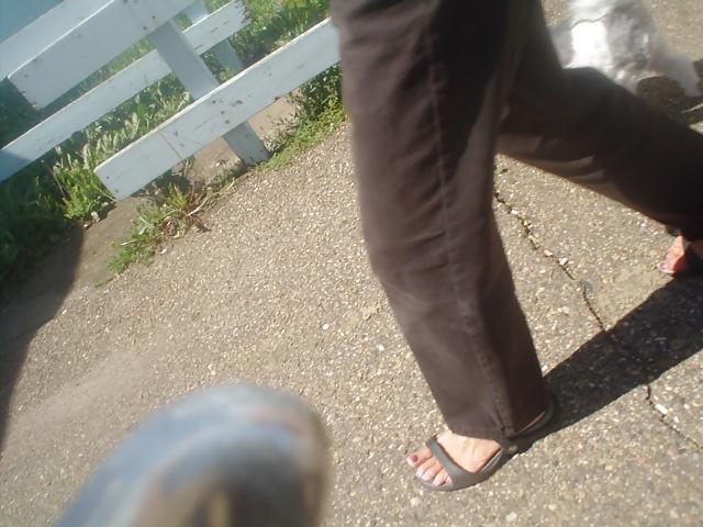 25P Feet in public