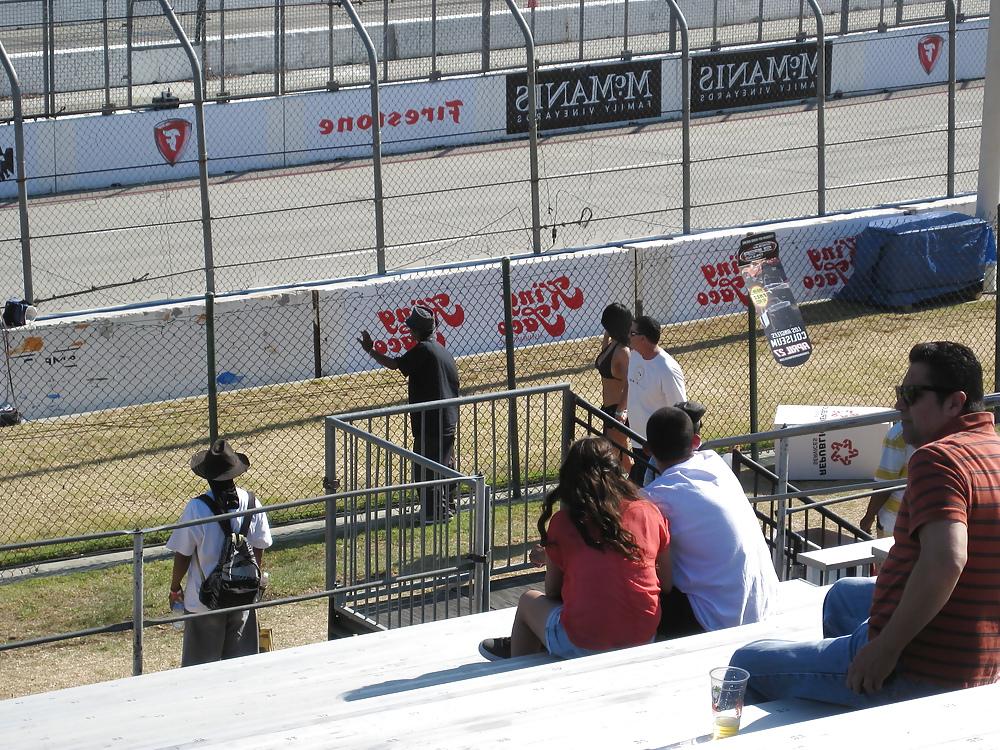25P Hotties at the Car Races