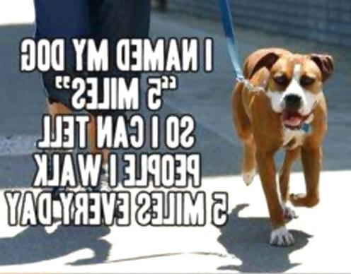 8P Funny quotes 4 hmmmm