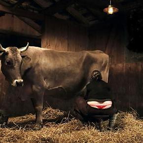 10P Homemade milking stand :)