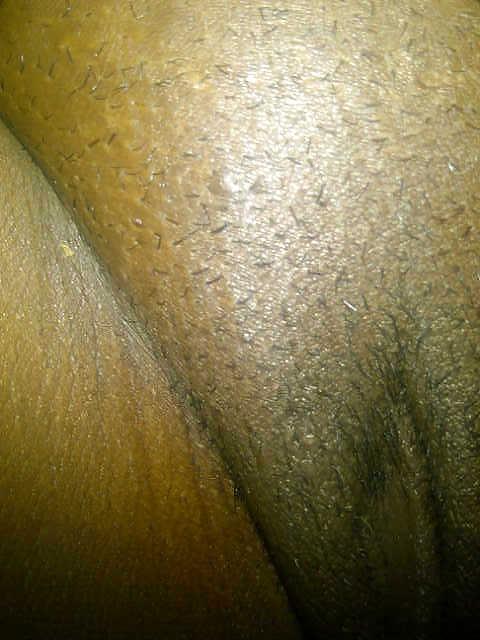 23P Pussy