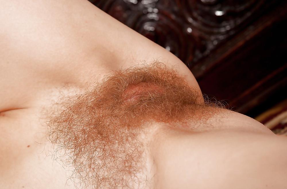25P From the Moshe Files: Hairy Cunt For Your Dining Pleasure