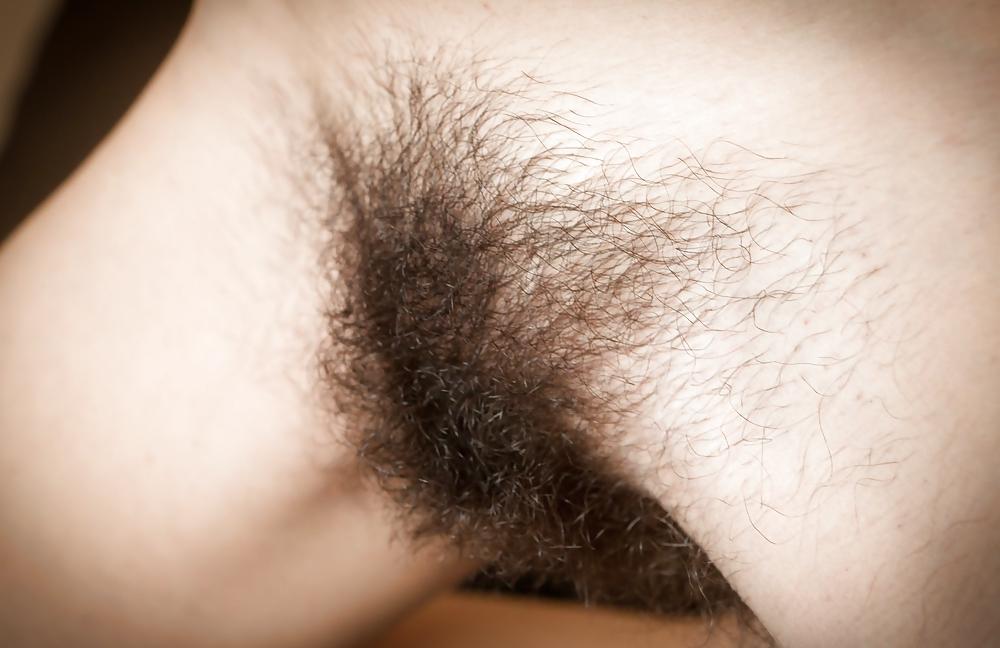 25P From the Moshe Files: Hairy Cunt For Your Dining Pleasure