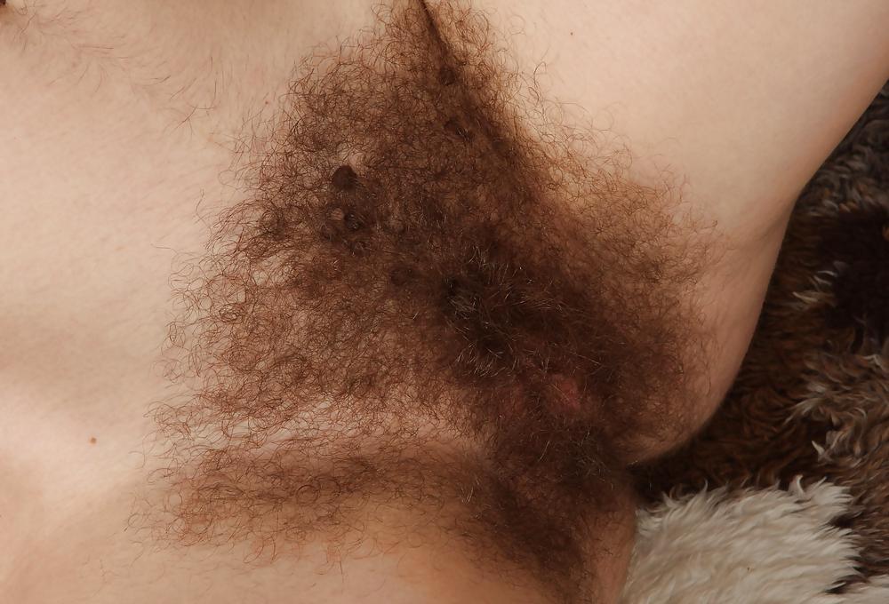 25P From the Moshe Files: Hairy Cunt For Your Dining Pleasure