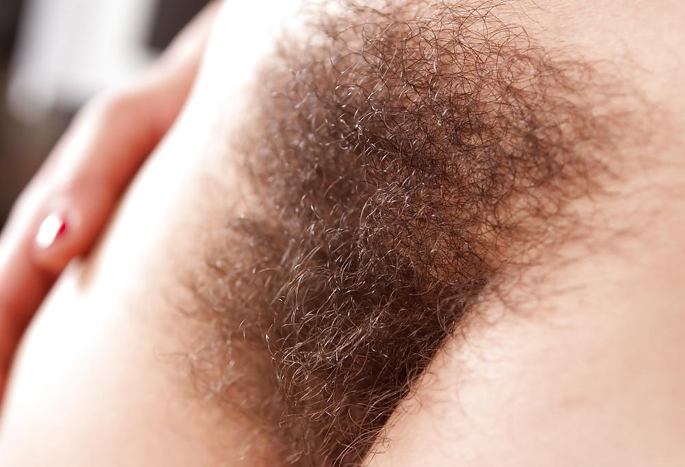 25P From the Moshe Files: Hairy Cunt For Your Dining Pleasure