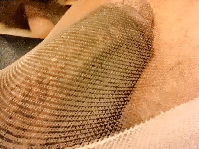 14P BBC in Shiny hose again