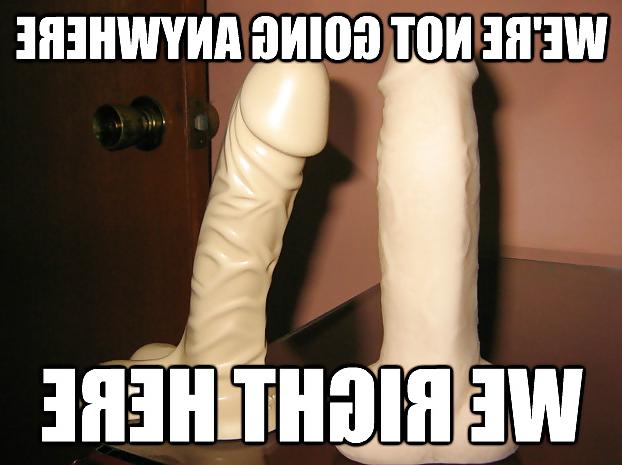 15P Girls best friend