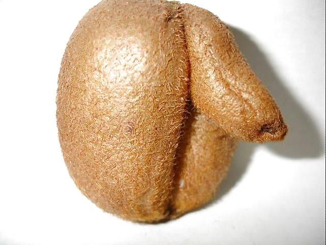 25P Funny