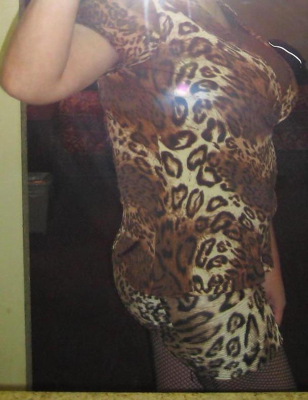 6P Hot Cougar