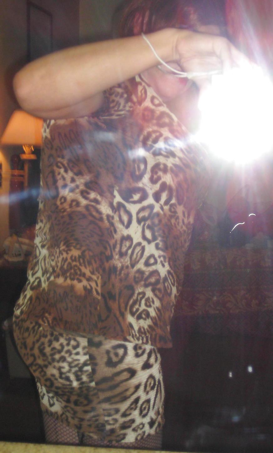 6P Hot Cougar