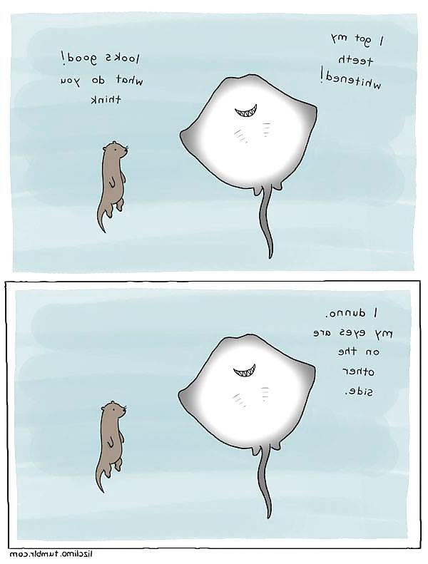 22P More random funnies and stuff ...