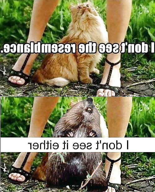 23P Random Funny