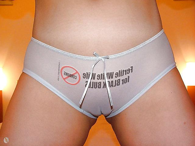 17P CAMELTOES SELECTION