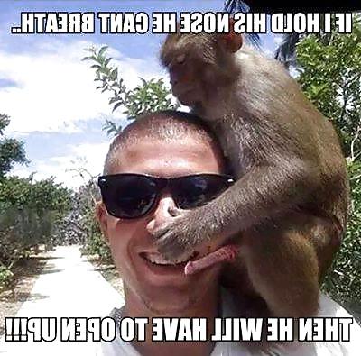 25P Funny 