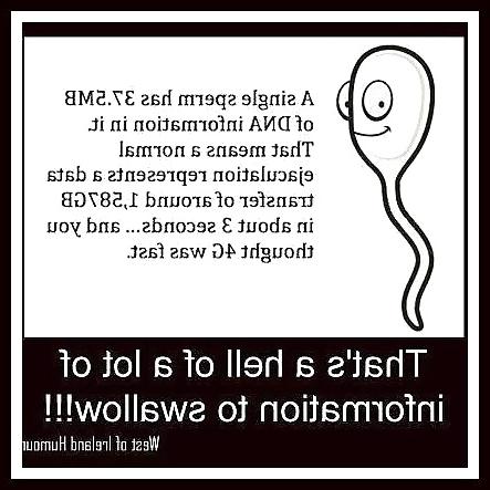 8P Funny