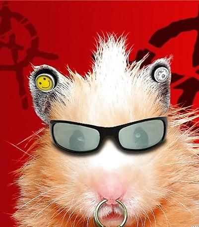 25P Hamster