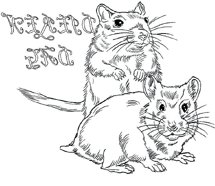 25P Hamster