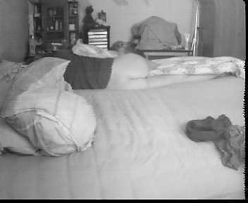 23P Secretly recorded with an cam and ir cam