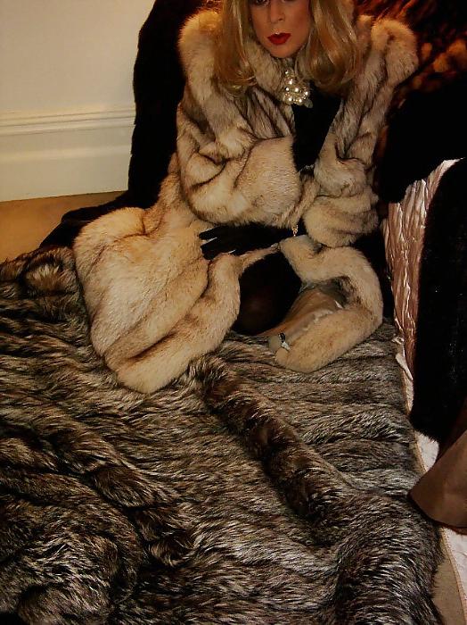 25P T-Girls in fur 3