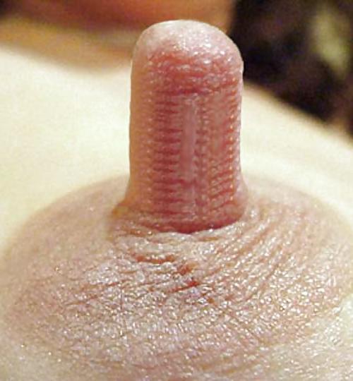 13P Nipples