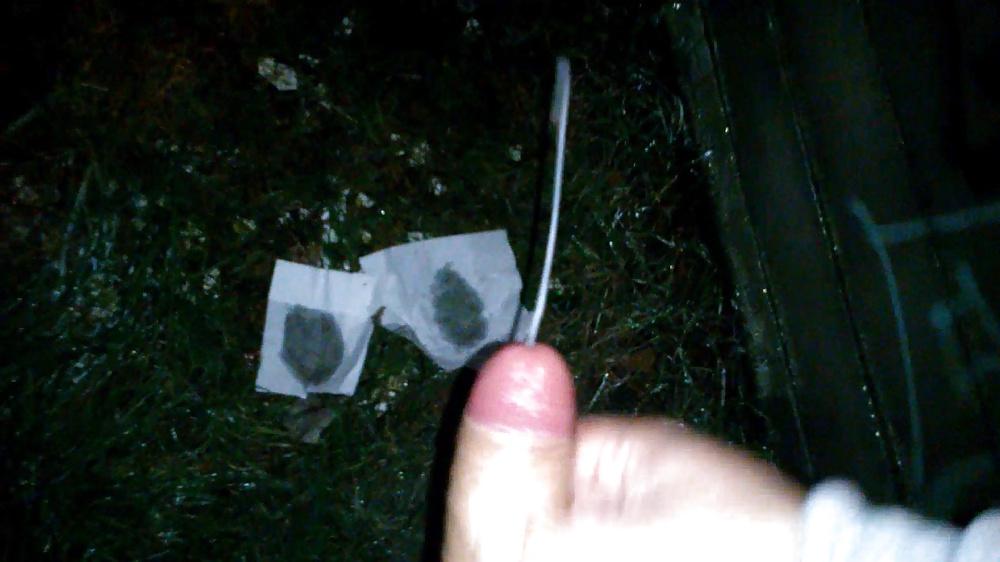15P Hungarian Prostitute Hooker Sucking My Cock