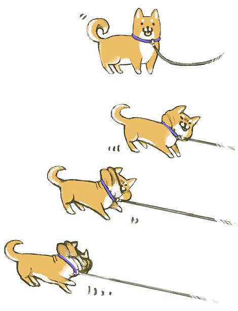 8P Funny pic vol.1