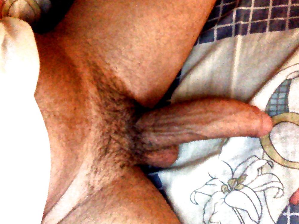 4P Mi pene