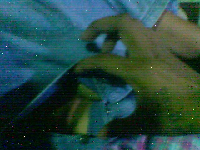 8P Spy my mom 2