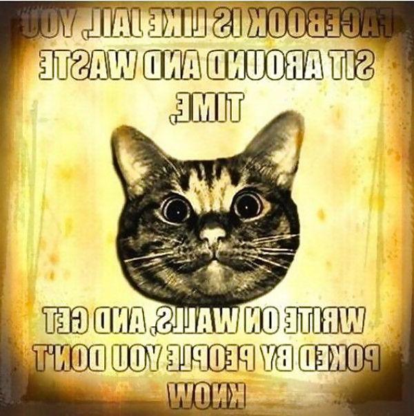 7P Random Funny Stuff