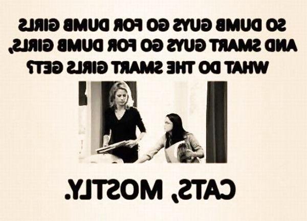 7P Random Funny Stuff