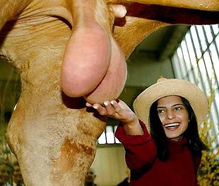 25P Sex & Fun 2