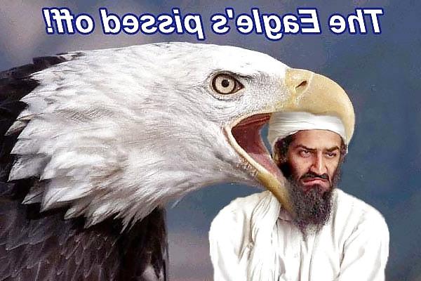 25P Osama Shit
