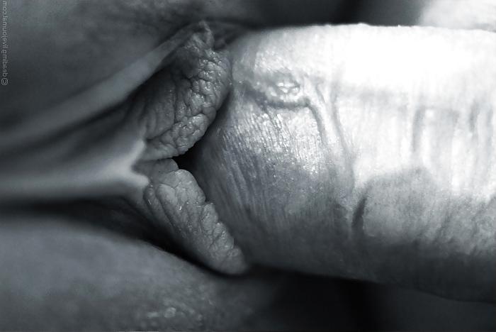 16P Beautiful pussy