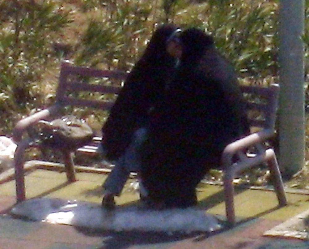 25P Iranian spy cam