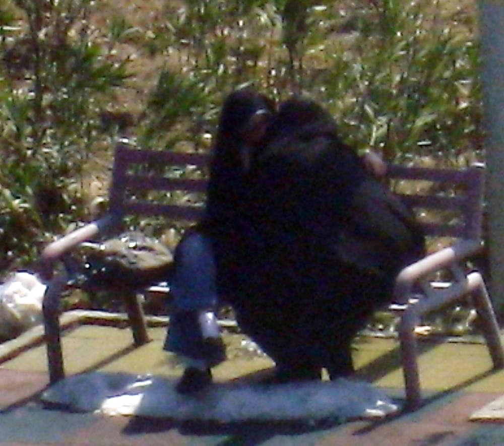 25P Iranian spy cam