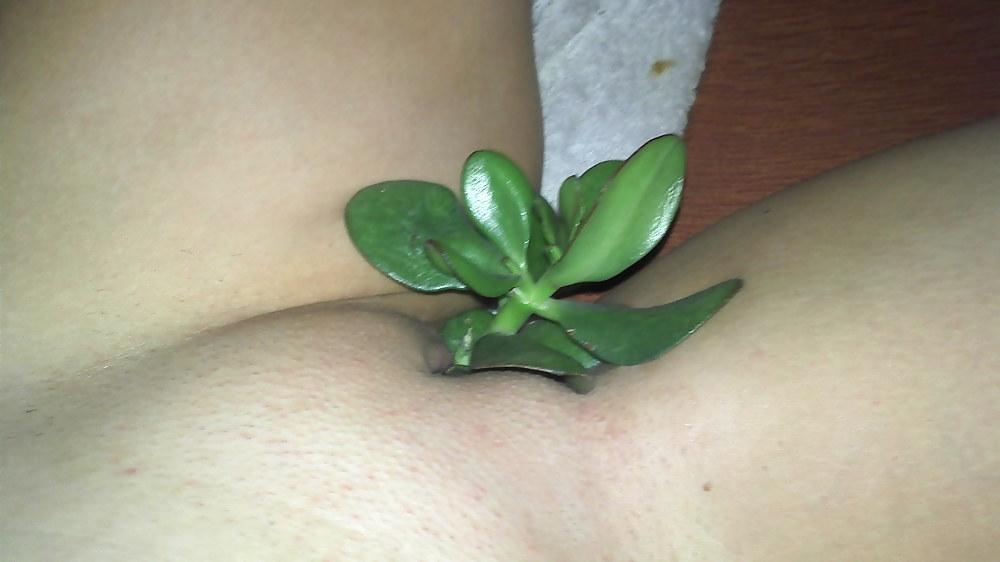 25P My Pussy Accessories & Unusual Insertions