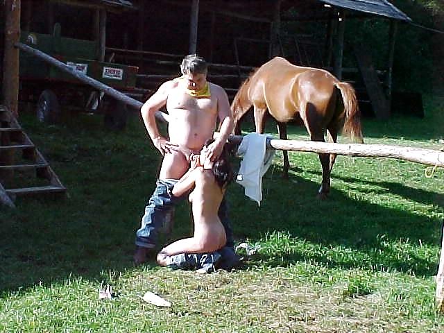 20P Ranchyard game