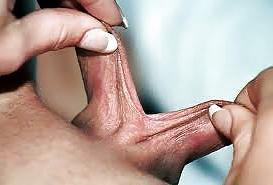 8P Huge pussy