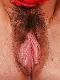 8P Huge pussy