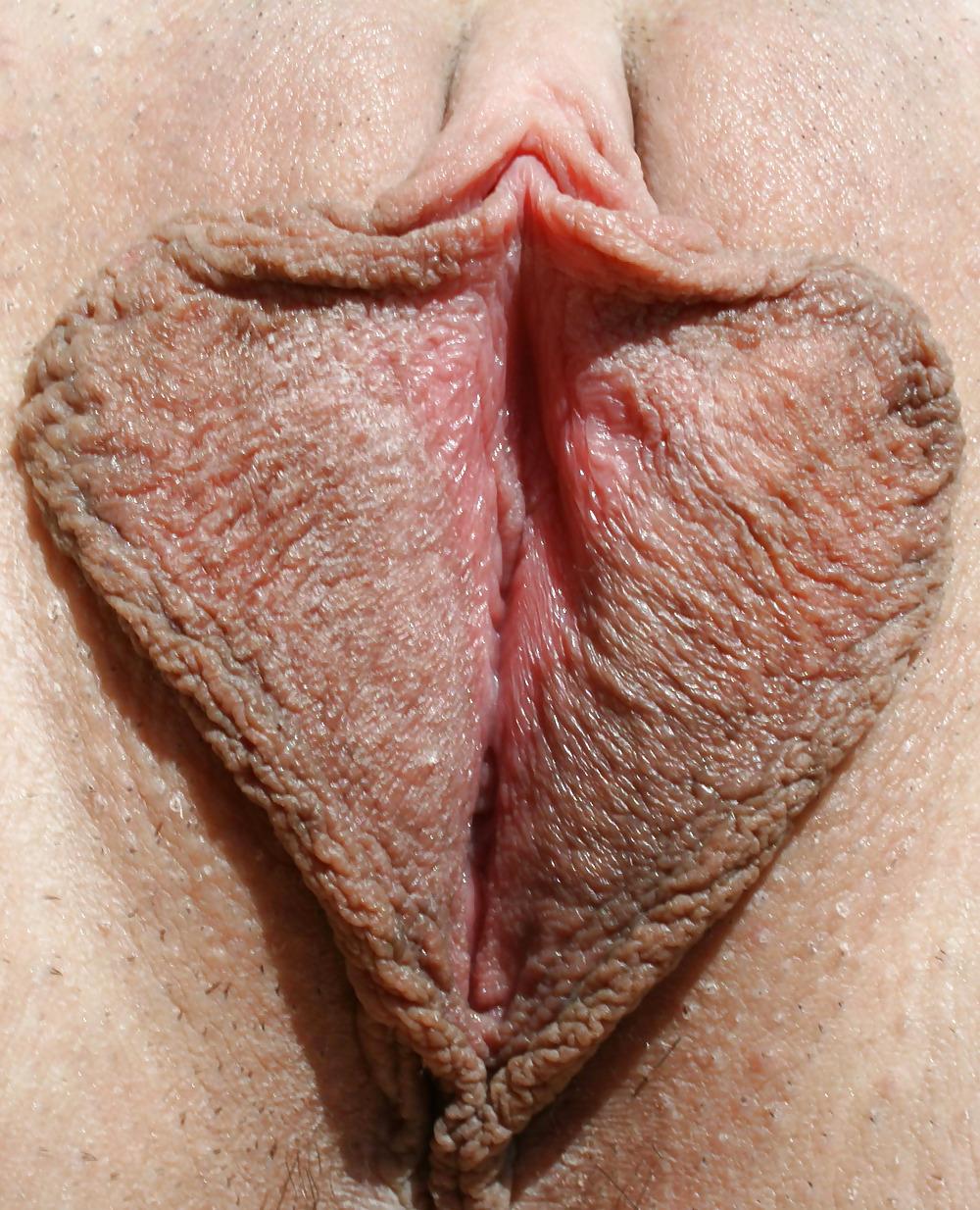 25P Extrem grosse Schamlippen 5